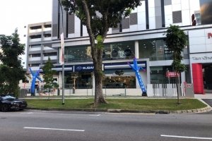 welcome air dancer for opening business singapore