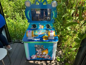Fish Frenzy arcade game at Palawan Beach Walk, Singapore – fun and colorful fishing-themed game for kids